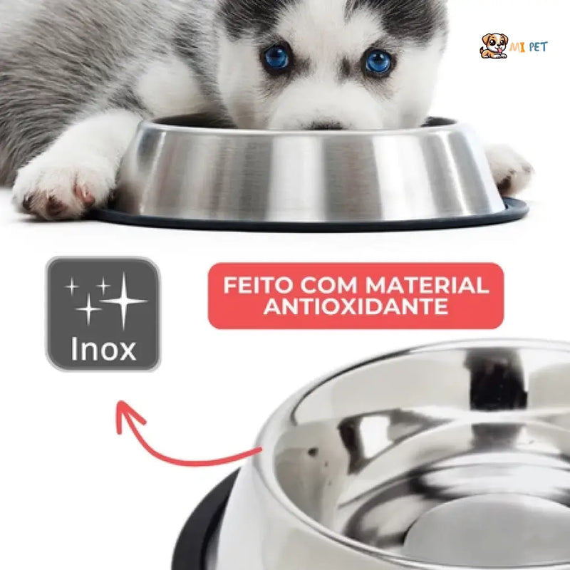 Comedouro e Bebedouro Inox